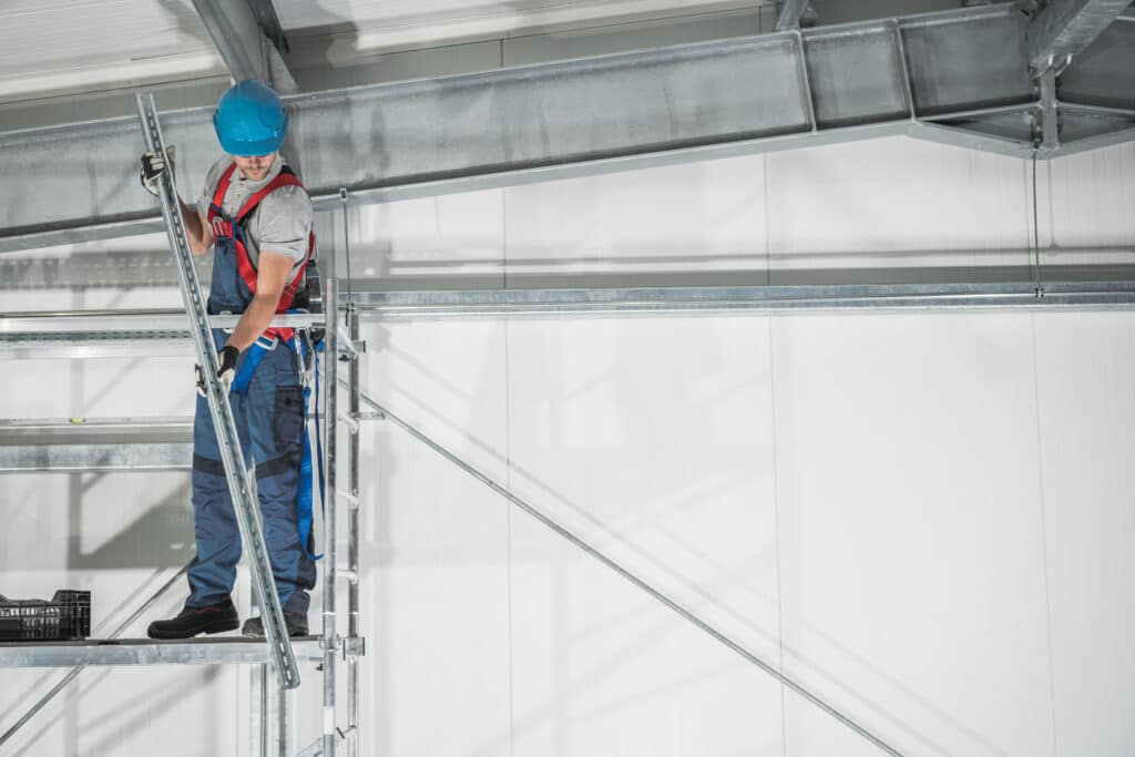 Mold Restoration